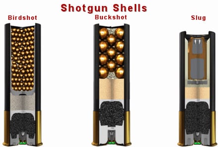 Shotgun shell